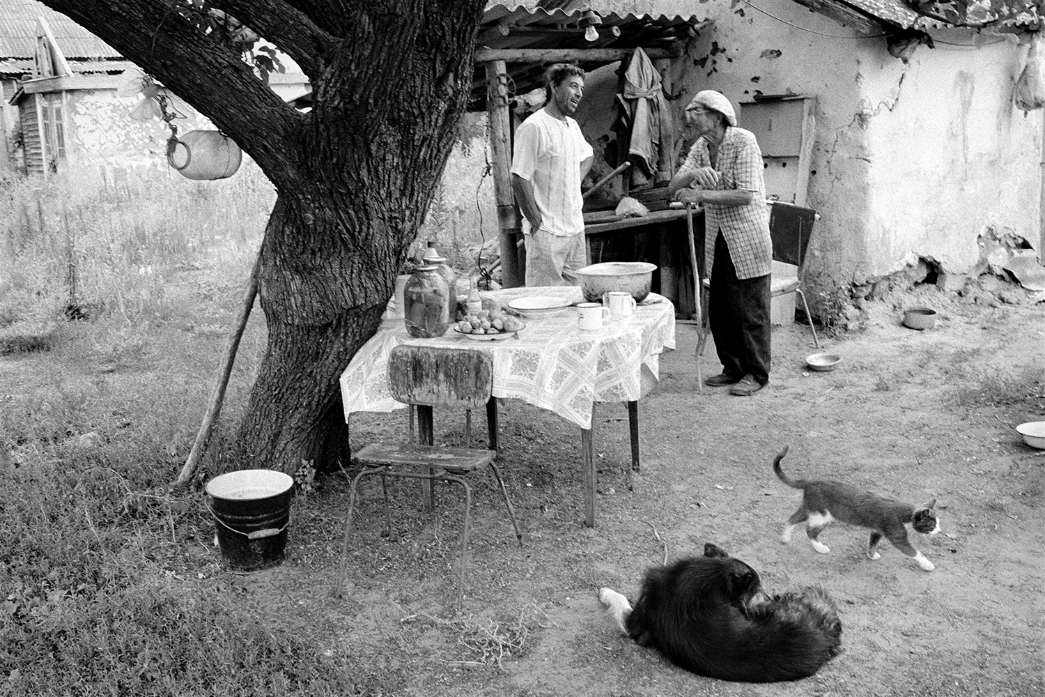 farm of Sekretiov, village of Oblivskaya district, Rostov region, Russia