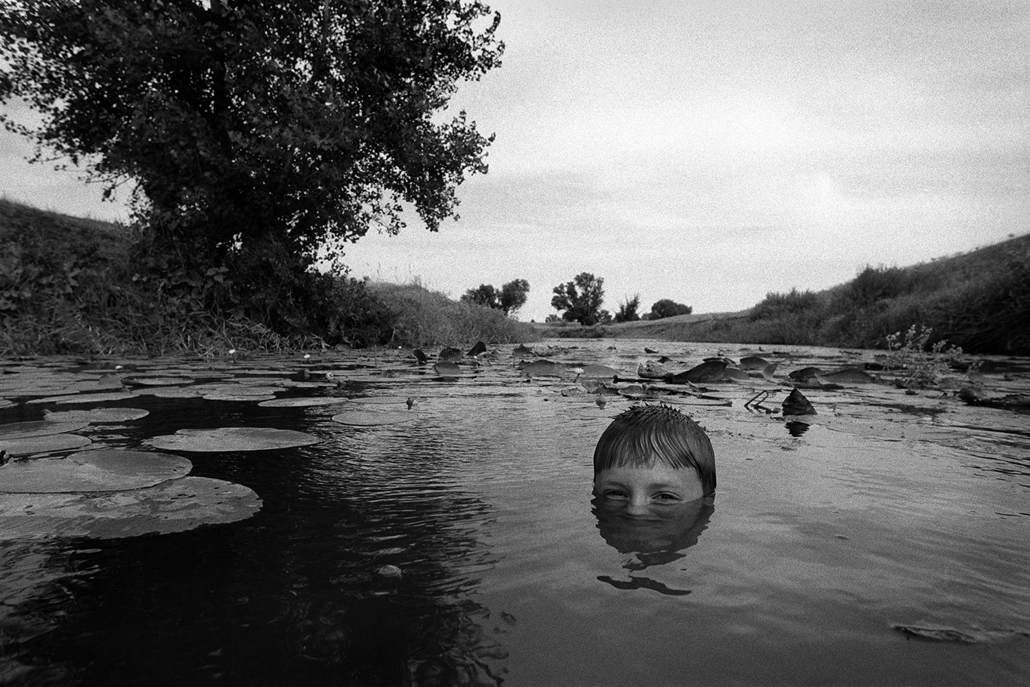 farm of Senshin, village of Oblivskaya district, Rostov region, Russia, 2010