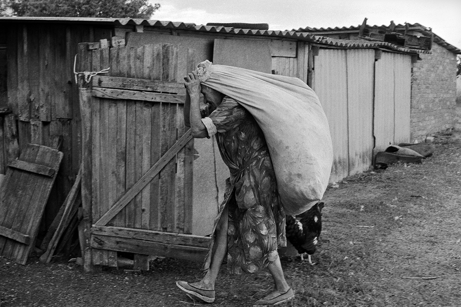 farm of Senshin, village of Oblivskaya district, Rostov region, Russia, 2010