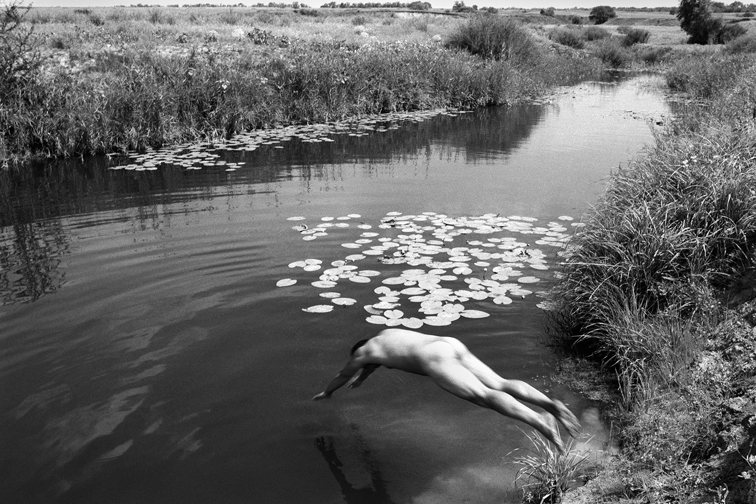 farm of Senshin, village of Oblivskaya district, Rostov region, Russia, 2010