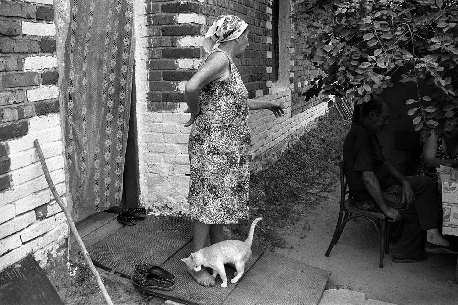 farm of Senshin, village of Oblivskaya district, Rostov region, Russia, 2010