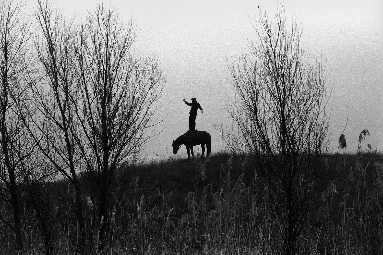 farm of Senshin, village of Oblivskaya district, Rostov region, Russia, 2010